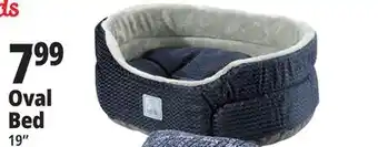 Ocean State Job Lot Oval Bed offer