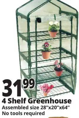 Ocean State Job Lot 4 Shelf Greenhouse offer