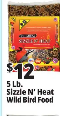 Ocean State Job Lot Better Bird Sizzle N' Heat Premium Wild Bird Food, 5 lbs offer
