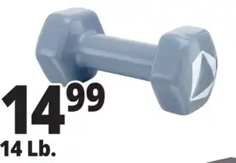 Ocean State Job Lot Neoprene Hand Weight, 10 lb offer