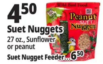 Ocean State Job Lot Suet Nuggets offer