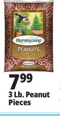 Ocean State Job Lot 3 Lb. Peanut Pieces offer