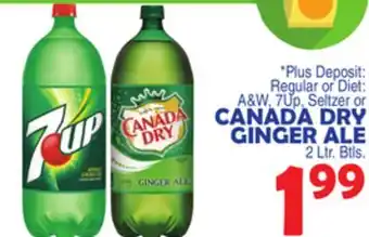 Bravo Supermarkets CANADA DRY GINGER ALE offer