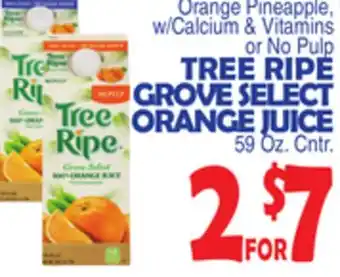 Bravo Supermarkets TREE RIPE GROVE SELECT ORANGE JUICE offer