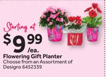 Stop&Shop Flowering Gift Planter offer