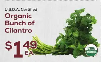 DeCicco & Sons Organic Bunch of Cilantro offer