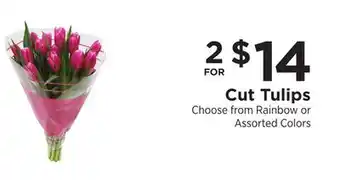ShopRite Cut Tulips offer