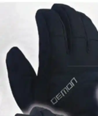 Big 5 Demon Youth Snow Gloves offer