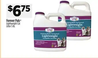 Dollar General Forever Pals Lightweight Cat Litter offer
