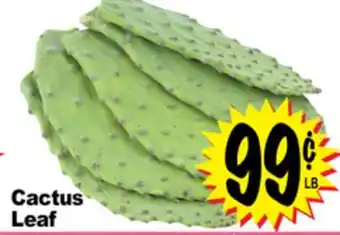 Superior Grocers Cactus Leaf offer
