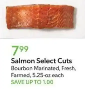 Publix Salmon Select Cuts offer