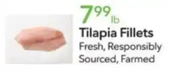 Publix Tilapia Fillets offer