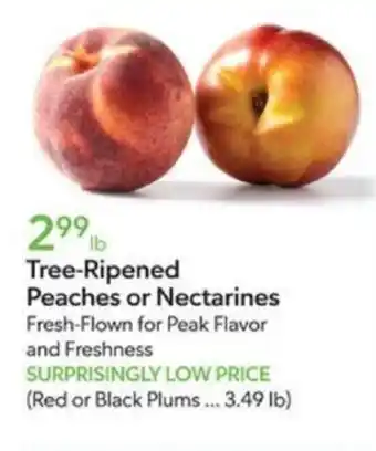 Publix Tree-Ripened Peaches or Nectarines offer