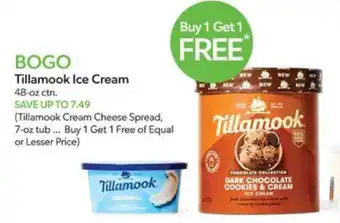 Publix Tillamook Ice Cream offer