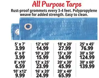Ocean State Job Lot All-Purpose Tarps offer