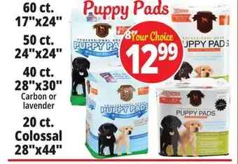 Ocean State Job Lot Puppy Pads offer
