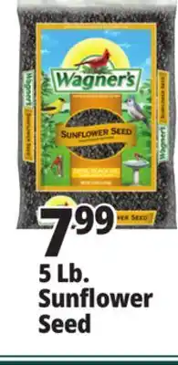 Ocean State Job Lot 5 Lb. Sunflower Seed offer