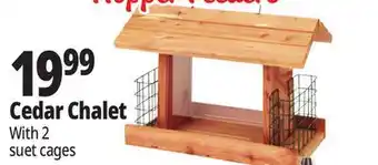 Ocean State Job Lot Cedar Chalet offer