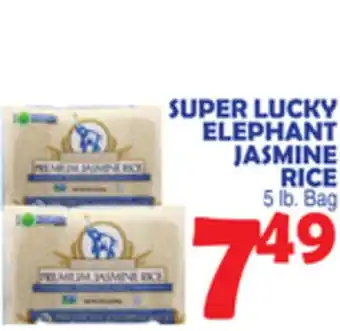 Bravo Supermarkets SUPER LUCKY ELEPHANT JASMINE RICE offer