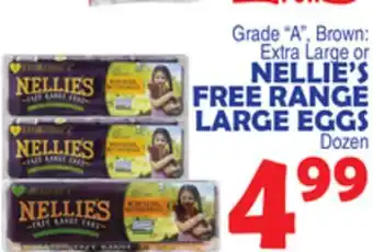 Bravo Supermarkets NELLIE'S FREE RANGE LARGE EGGS offer