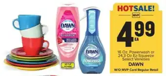 Food Lion DAWN offer