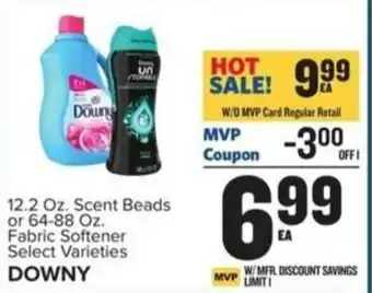 Food Lion DOWNY offer