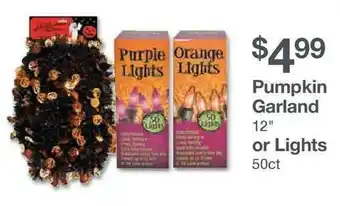 Kinney Drugs Pumpkin Garland Or Lights offer