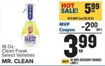 Food Lion MR. CLEAN offer