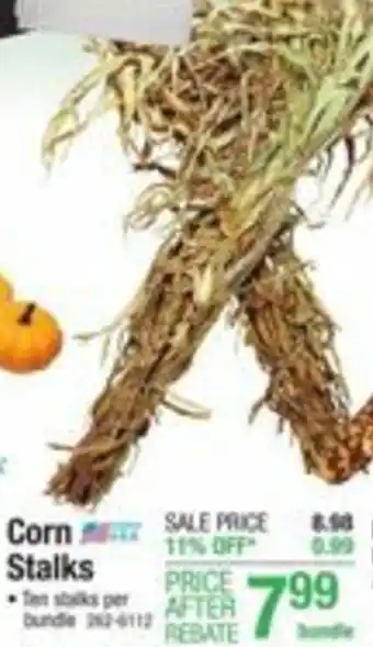 Menards Corn Stalks offer