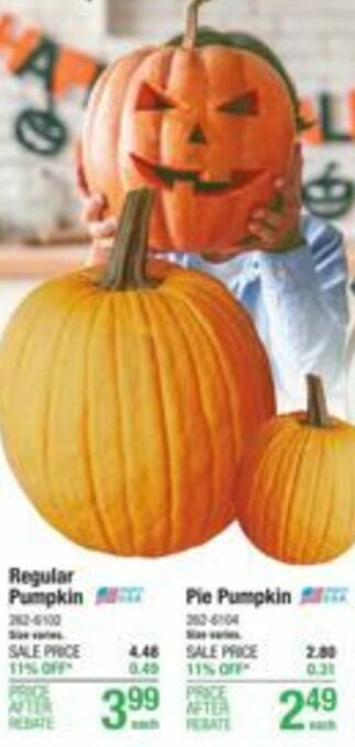 Menards Regular Pumpkin offer
