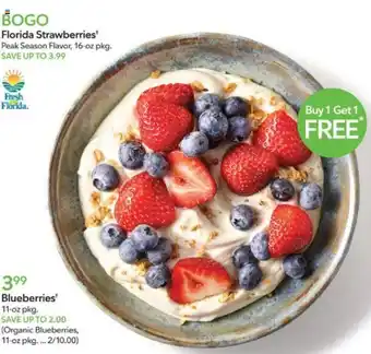 Publix Blueberries 11-oz pkg. offer