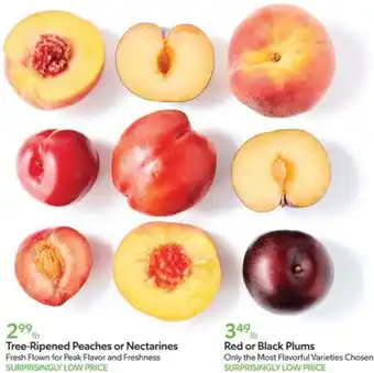 Publix Tree-Ripened Peaches or Nectarines offer