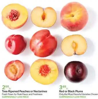 Publix Red or Black Plums offer
