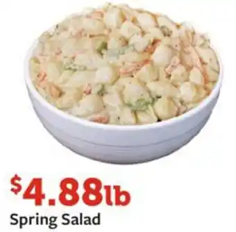 Fareway Spring Salad offer