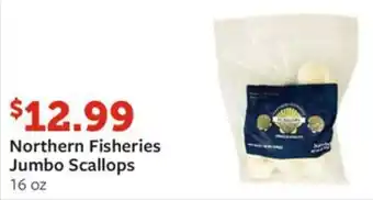 Fareway Northern Fisheries Jumbo Scallops 16 oz offer