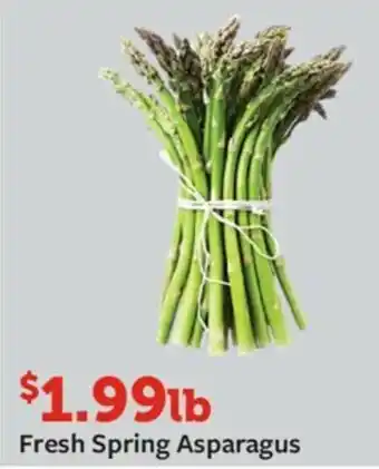 Fareway Fresh Spring Asparagus offer