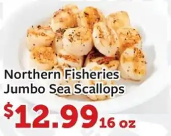 Fareway Northern Fisheries Jumbo Sea Scallops offer