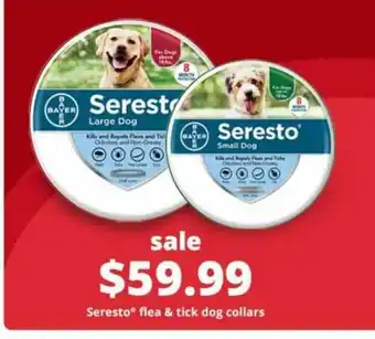 Pet Smart Seresto Large & Small Dog offer