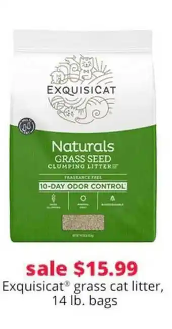 Pet Smart Exquisat Grass Cat Litter offer