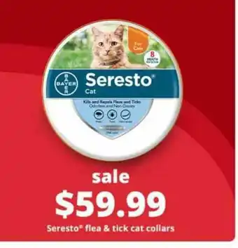 Pet Smart Seresto Cat offer