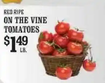 On The Vine Tomatoes