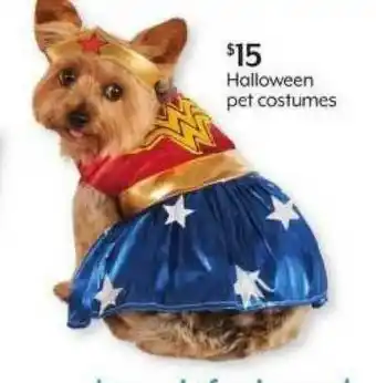 Bealls Halloween Pet Costumes offer