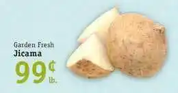 Foodarama Garden Fresh Jicama offer