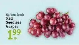 Foodarama Garden Fresh Red Seedless Grapes offer