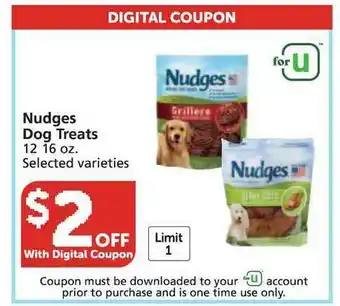 Pavilions Nudges Dog Treats offer
