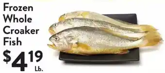 Frozen Whole Croaker Fish