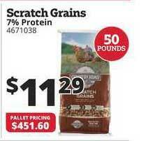 Rural King Scratch Grains offer