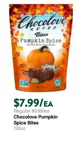 Plum Market Chocolove Pumpkin Spice Bites offer
