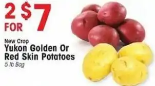 Yukon Golden Or Red Skin Potatoes