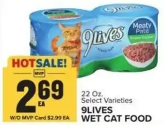 Food Lion 9LIVES WET CAT FOOD offer